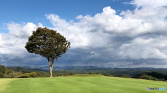 いい天気ですね〜！