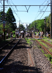 わらわら。押すな、押すな。