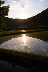 日本の風景