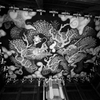 双龍。