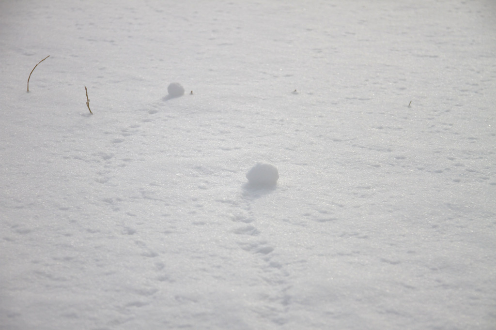 雪の足あと
