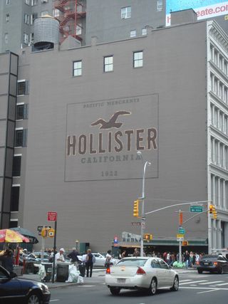 HOLISTER
