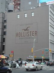 HOLISTER