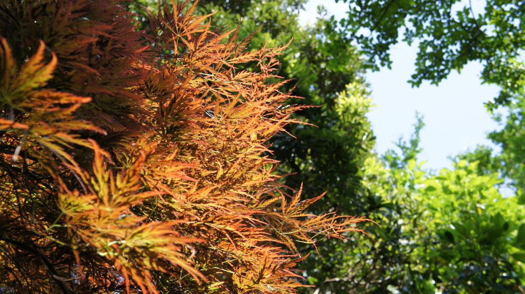 DSC00061