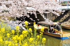 お花見屋形船
