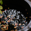 水瓶