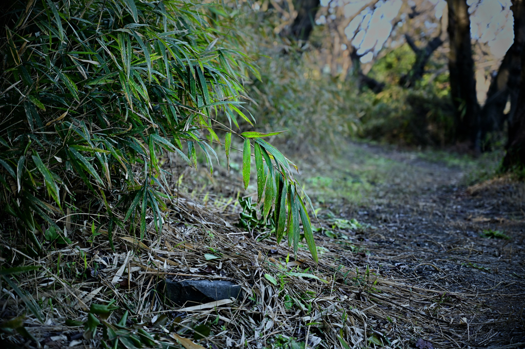 道