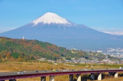 富士様