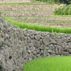 だん段ダン