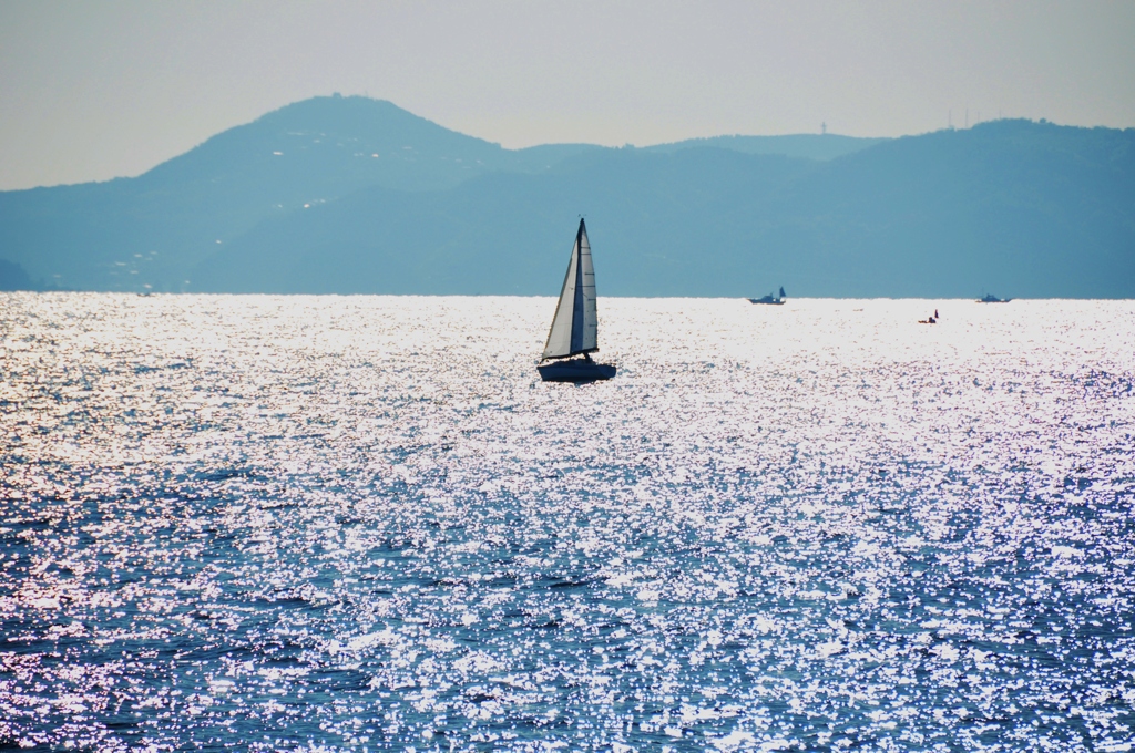 海