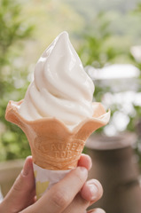 ミルクソフトクリーム