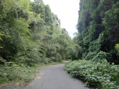 夏の勢い