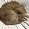 まんまる