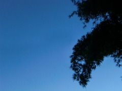 垂れ下がってくる夜