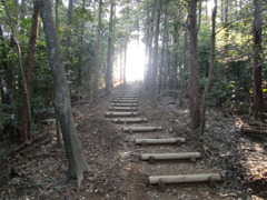 光が見えてきた