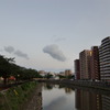 浮遊