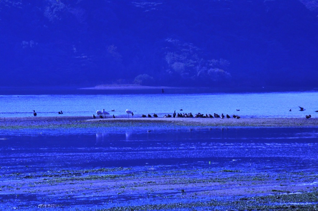 冬の海