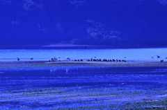 冬の海