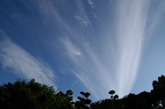 青雲