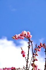 太陽の恵み