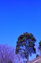 青空