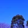 青空
