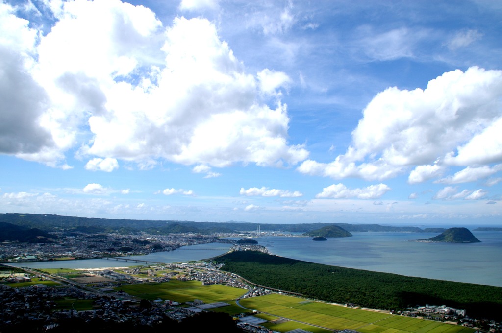 共存