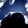 雲