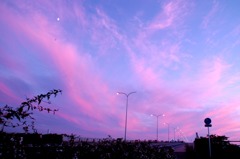 夕陽と月