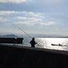 12月の光