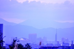福岡ドーム
