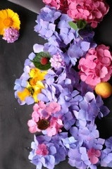 アジサイの花の造形美