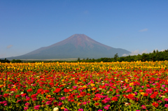 花の都公園にて