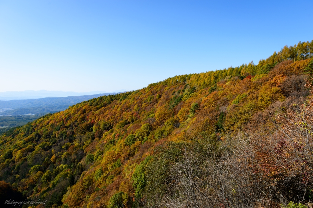 DSC_7925-2