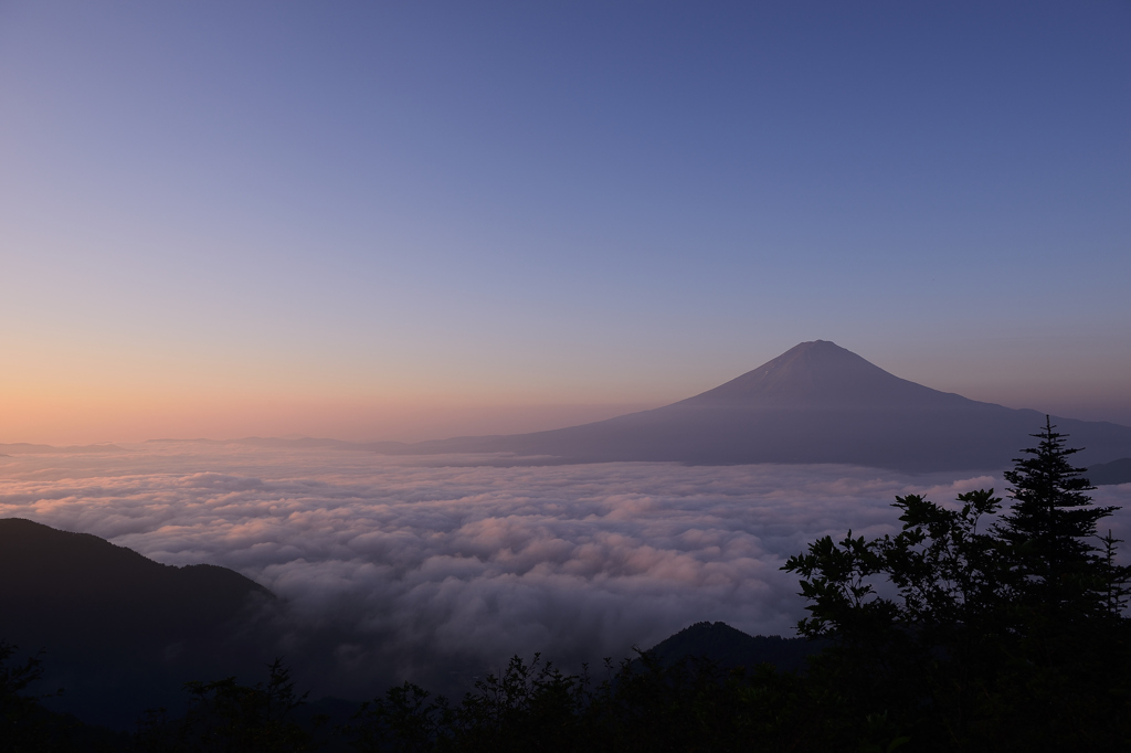 朝陽に染まる雲