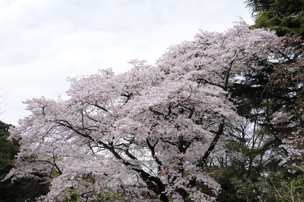 仲良し公園1_R