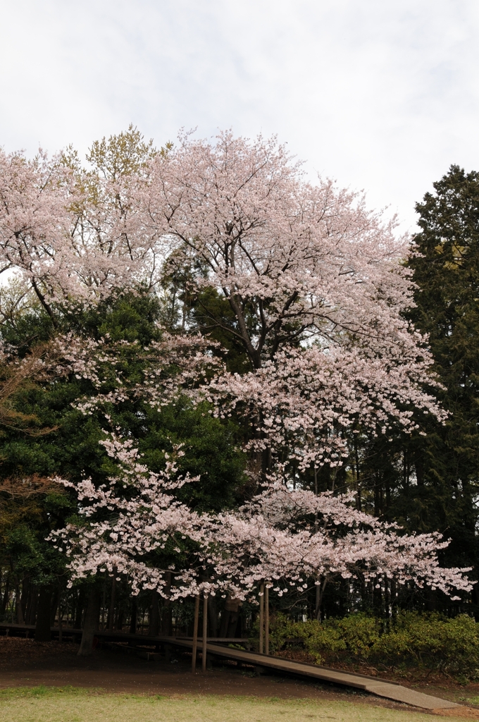 仲良し公園2_R