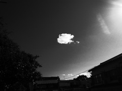 白い雲