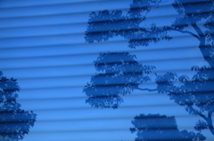 shadow picture