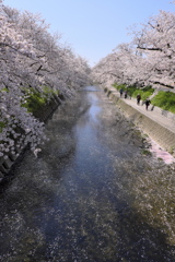 季節は流れる