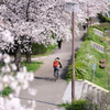 春