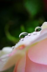 雫
