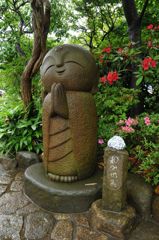 癒し系