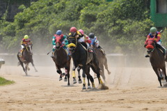 砂塵舞う佐賀競馬