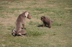 見合って見合って～