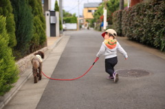 お散歩行こうね