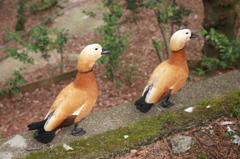 シンクロニシティ