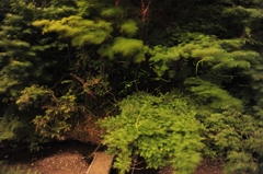 合成１