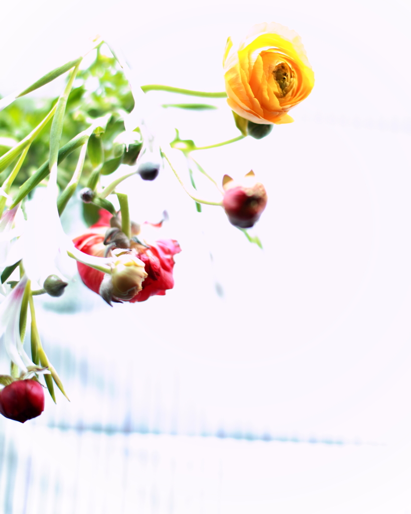 a flower 6