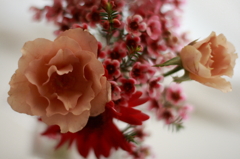 a flower 1